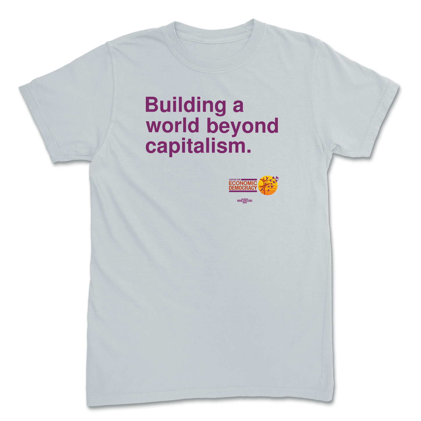 "Building a world beyond capitalism." Platinum T-Shirt